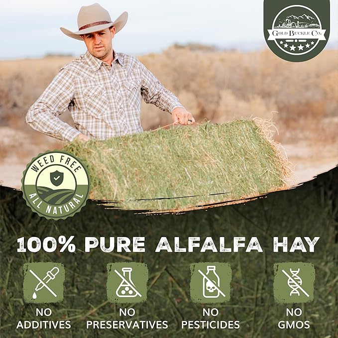 5lb Freshly Dried Organic Alfalfa Hay for Guinea Pigs, Rabbits, Chinchillas, Goats, Hamsters & Ferrets, Small Animal Food Rich in Protein & Fiber, Hand-Selected, Hand Sorted, USA Grown