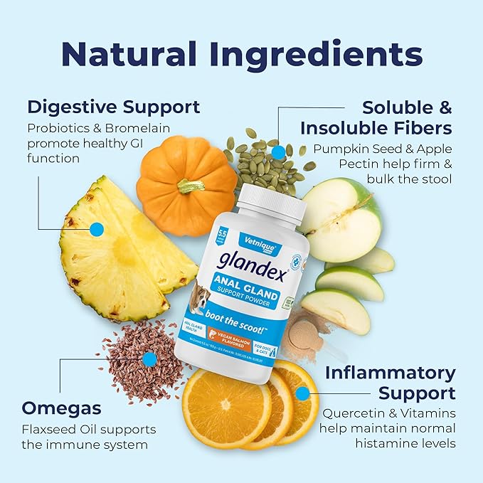 Glandex Dog Fiber Supplement Powder for Anal Glands with Pumpkin, Digestive Enzymes & Probiotics - Vet Recommended (Regular or Advanced Strength) - Boot The Scoot (5.5 oz, Vegan Salmon)