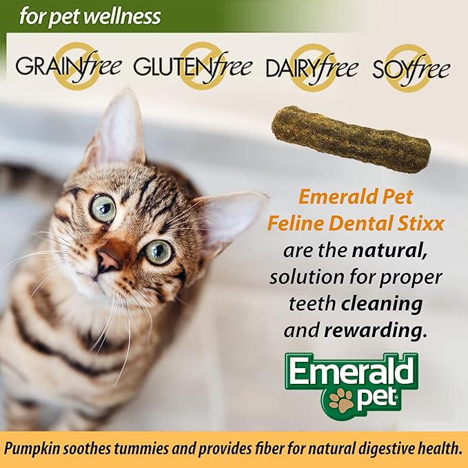 Emerald Pet Feline Dental Stixx — Tasty and Crunchy Cat Dental Sticks with Pumpkin for Digestive Health — Natural Grain Free Dental Treats for Clean Cat Teeth and Fresh Breath — Salmon Stixx, 3.6 oz