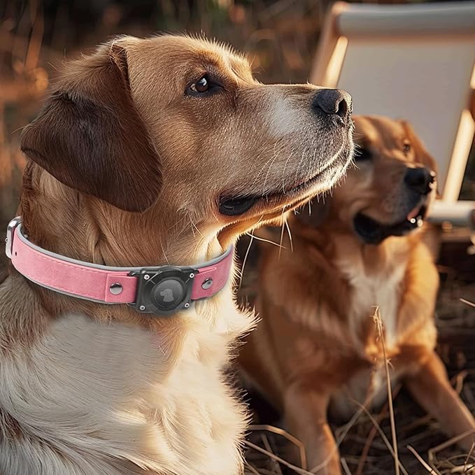 AirTag Dog Collar - Leather Dog Collar with Air Tag Holder | IPX8 Waterproof, Reflective, High - End, Adjustable Soft Padded | Dog GPS Tracker Collars Fit for Medium Large Dogs (Pink, L)