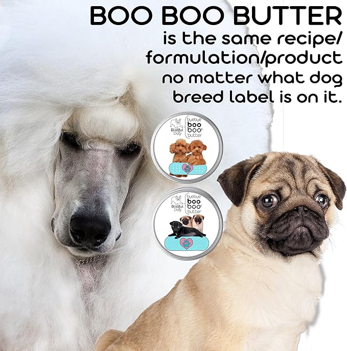 English Toy Spaniel Boo Boo Butter, 1-Ounce