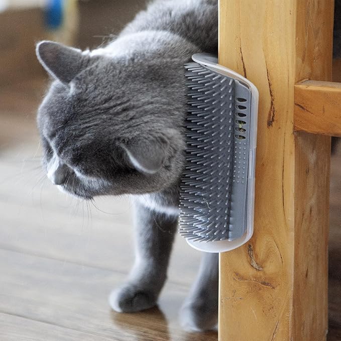 Extended (6.1") 2 Pack Self Grooming Cat Brush - Wall Corner Scratcher with Massage Combs for Long and Short Fur Cats, Kittens (Grey)