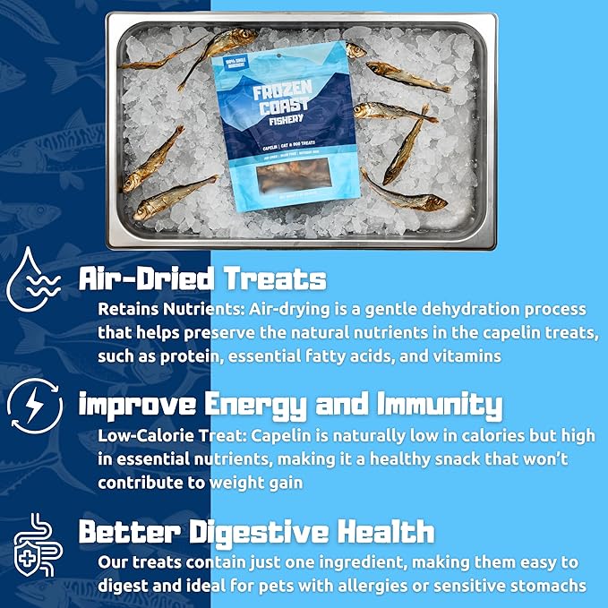 Frozen Coast Capelin Cat & Dog Treats- Single-Ingredient, All-Natural, High-Protein, Omega-3s, Fish Snacks (3 oz Bag)