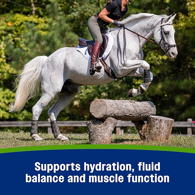 Farnam Apple Elite Electrolyte Paste Supplement for Horses, Replaces Vital Minerals, Encourages Hydration, No Added Sugar, 60 cc syringe