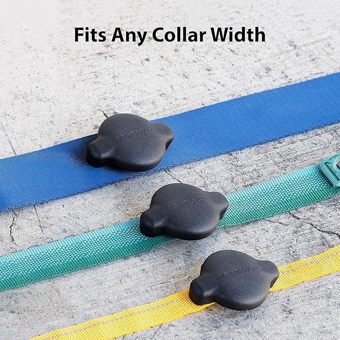 Elevation Lab TagVault™ Compact AirTag Dog Collar Mount - IP68 Waterproof, Doesn't Dangle, Fits All Width Collars