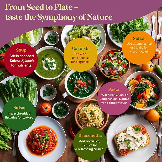 23 Lettuce & Salad Greens Seeds Variety Pack - 25,000+ Non-GMO Heirloom Greens Seeds for Planting Lettuce Indoor & Outdoor: Arugula, Mizuna, Kale, Spinach, Swiss Chard, Mache & More Lettuce Seeds