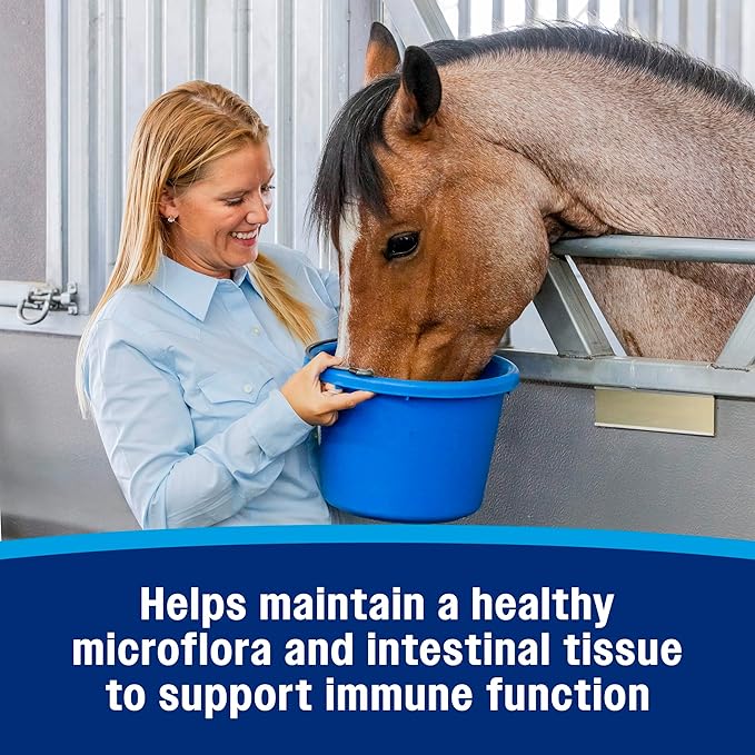 Farnam Hindgut Stabilizer Pellets, Daily Digestive & Immune Supplement for Horses Helps Maintain a Balanced Microbiome for Optimal Digestion