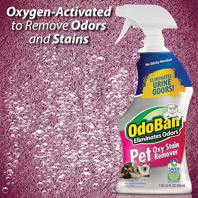 OdoBan Pet Solutions Oxy Stain Remover, Made in the USA, 2-Pack, 32 Ounce Sprays Each, and Neutral pH Floor Cleaner Concentrate, 1 Gallon